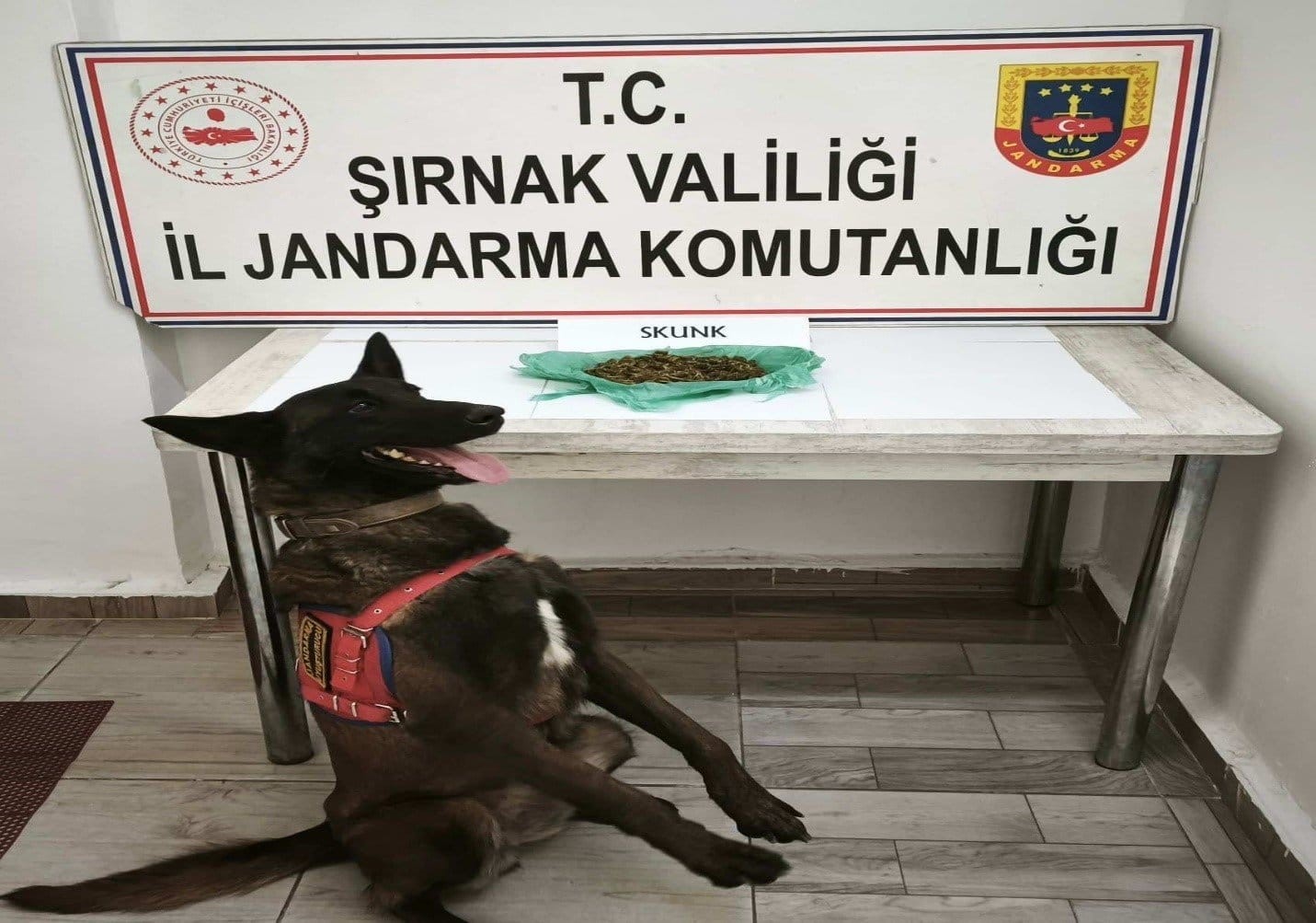 Şırnak’ta jandarma ekiplerinden asayiş, narkotik ve kaçakçılık operasyonu: 27 tutuklama
