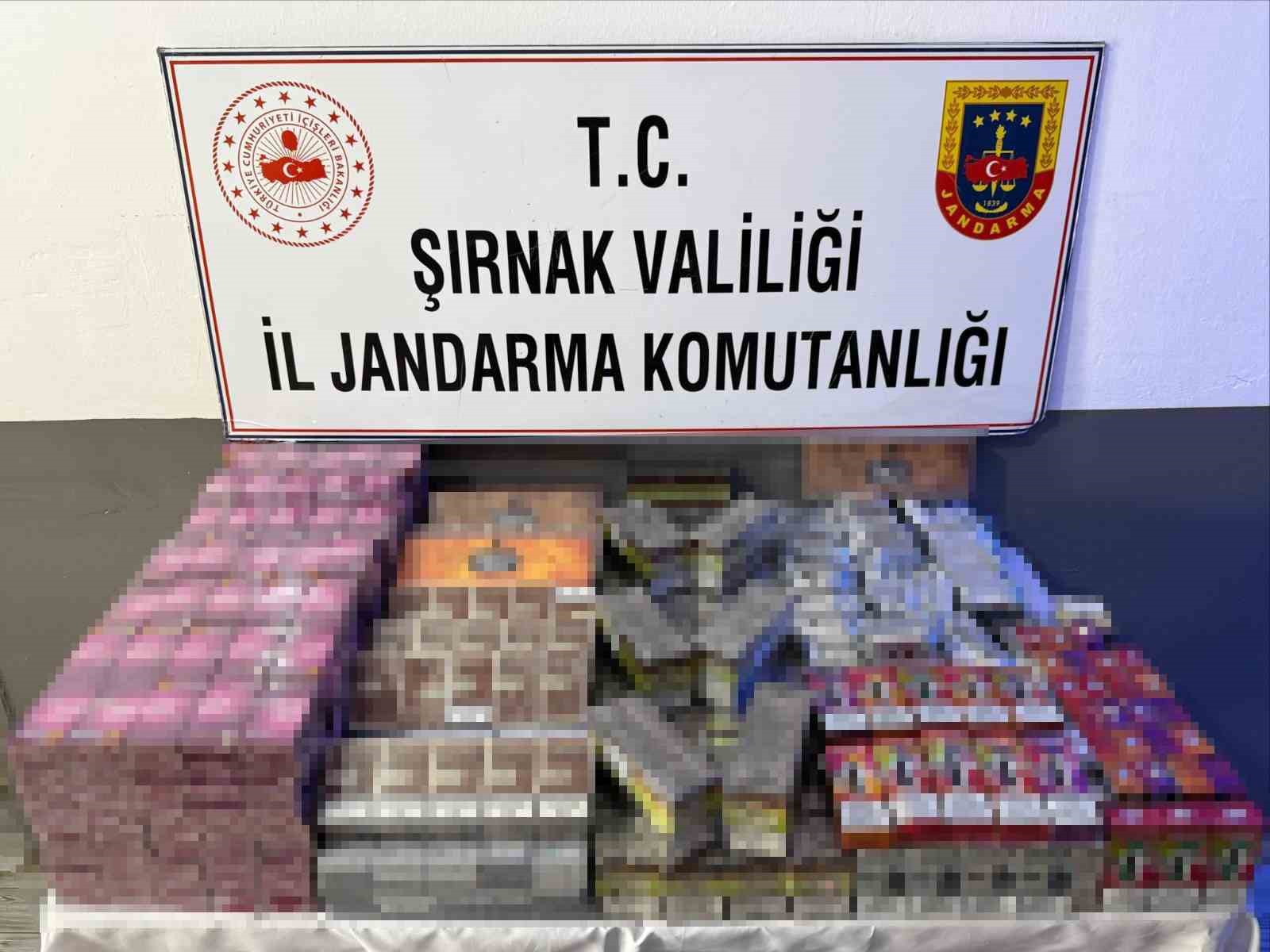 Şırnak’ta jandarmadan asayiş, kaçakçılık ve narkotik operasyonu
