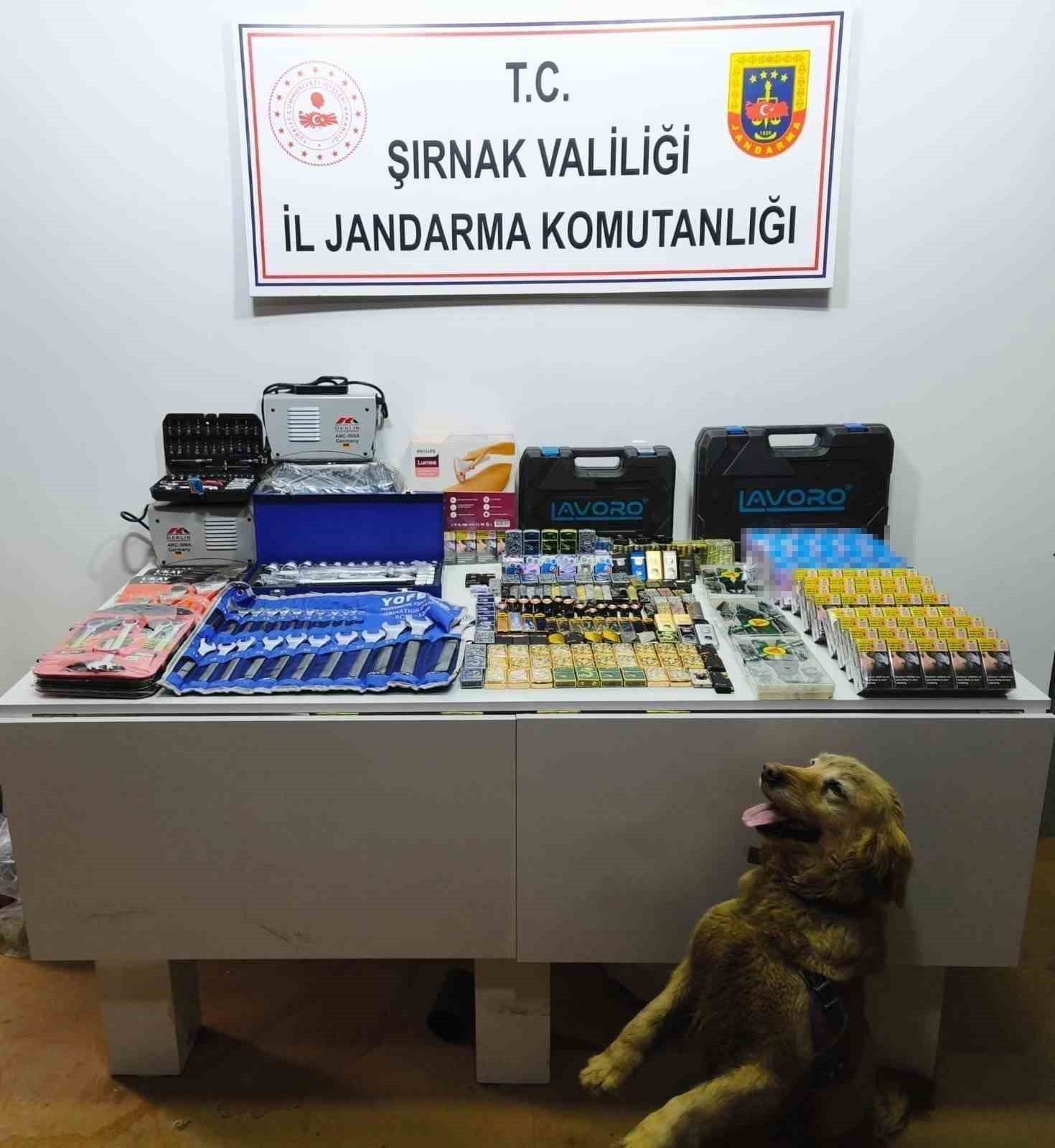 Şırnak’ta jandarmadan kaçakçılık operasyonu: 4 tutuklama
