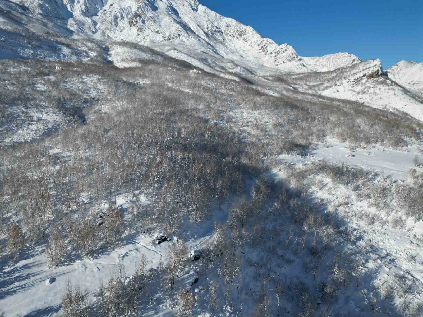 Şırnak’ta kar sonrası dağlar beyaza büründü
