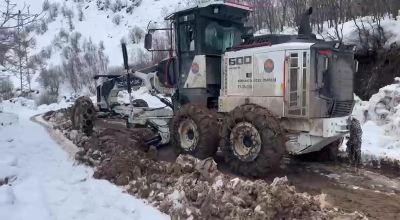 Şırnak’ta karla mücadele çalışmaları devam ediyor
