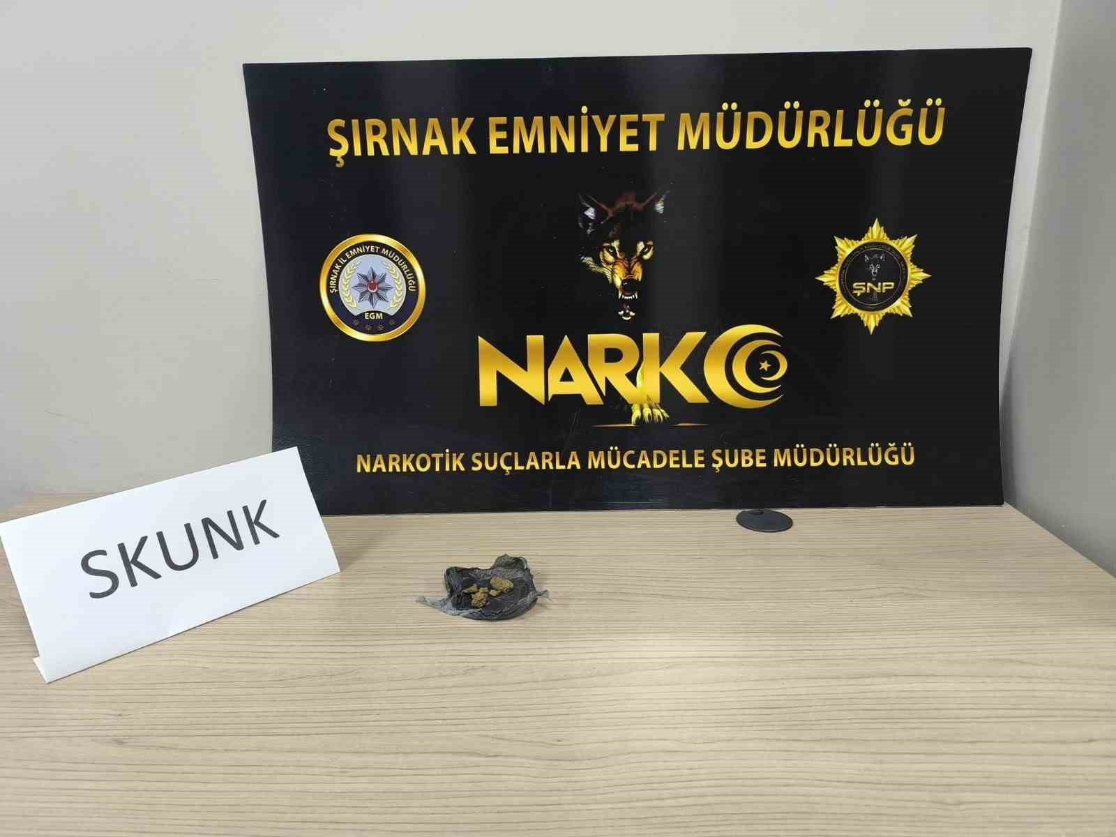 Şırnak’ta narkotik, kaçakçılık ve asayiş operasyonu: 5 tutuklama
