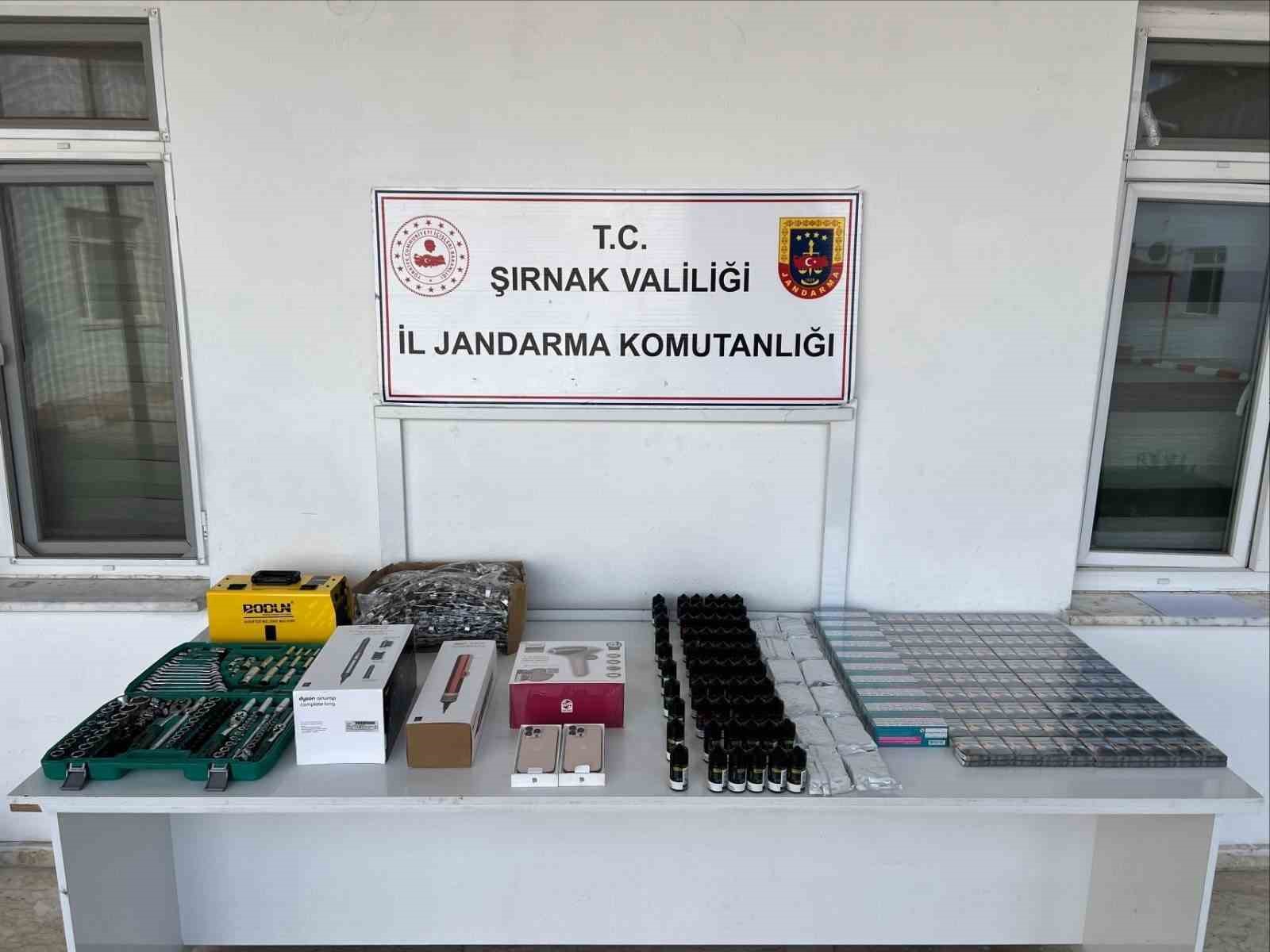 Şırnak’ta son bir haftada jandarma operasyonlarında 15 tutuklama
