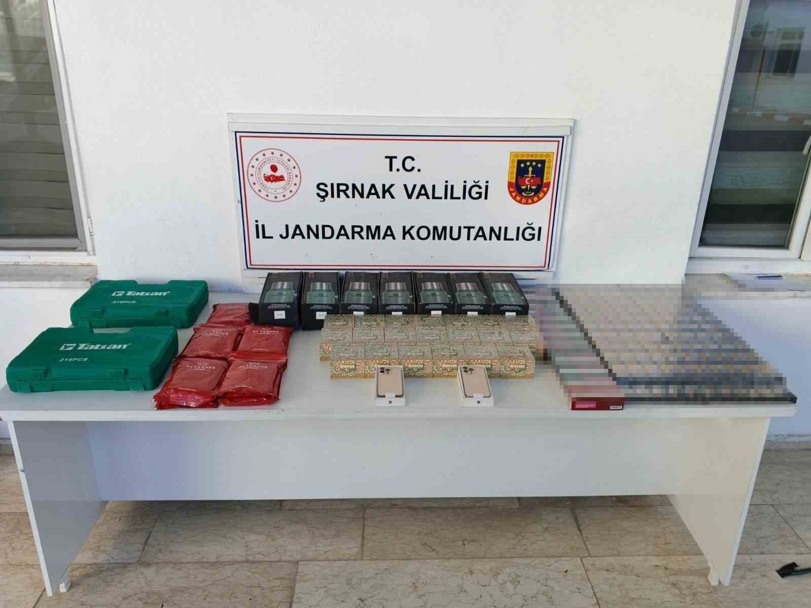 Şırnak’ta son bir haftada jandarma operasyonlarında 15 tutuklama
