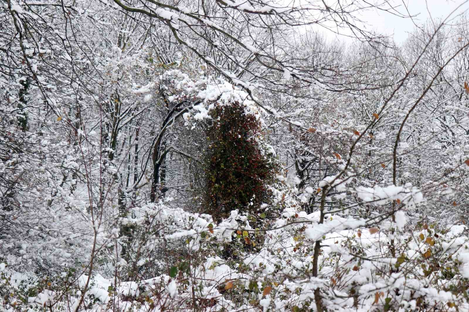 Sislerin ardında kalan kar manzarası kenedine hayran bıraktı
