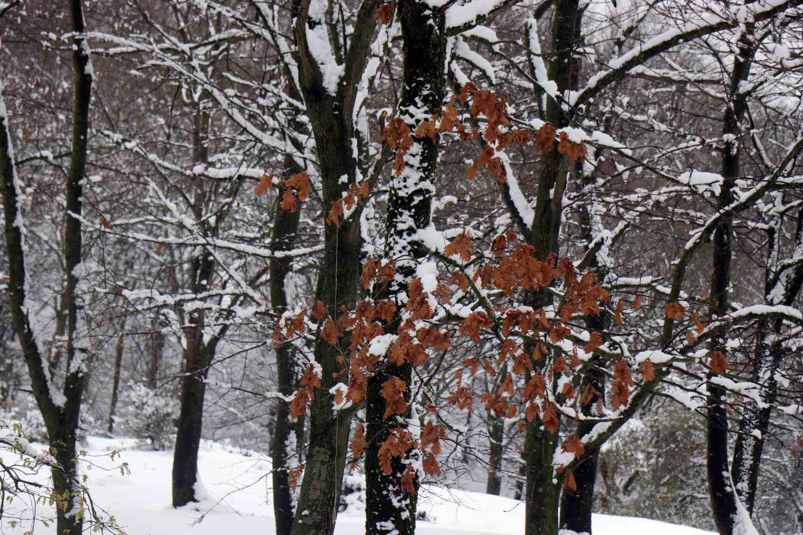 Sislerin ardında kalan kar manzarası kenedine hayran bıraktı
