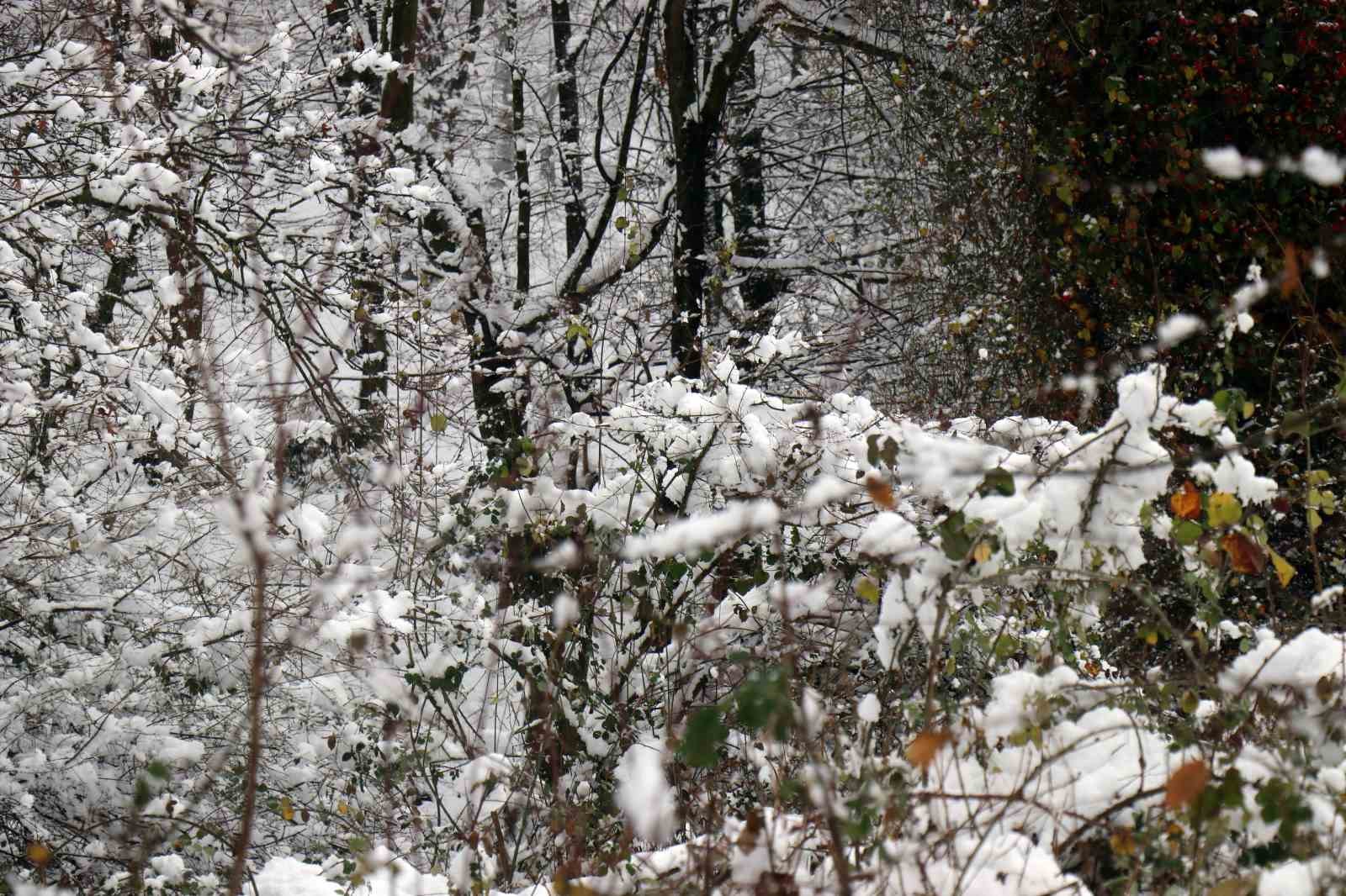 Sislerin ardında kalan kar manzarası kenedine hayran bıraktı
