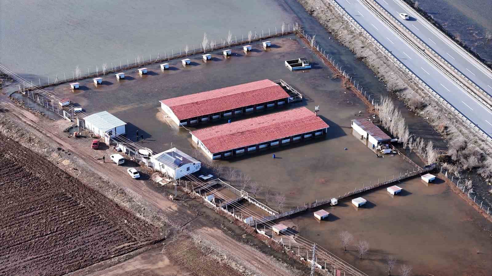 Sivas’ın dünyaca ünlü marka değeri Anadolu Aslanları su altında kaldı
