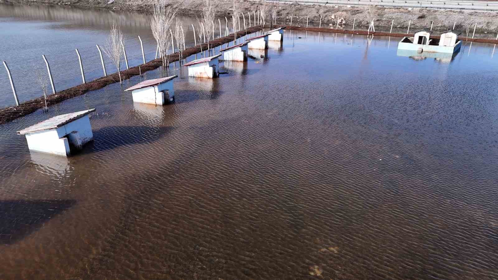 Sivas’ın dünyaca ünlü marka değeri Anadolu Aslanları su altında kaldı
