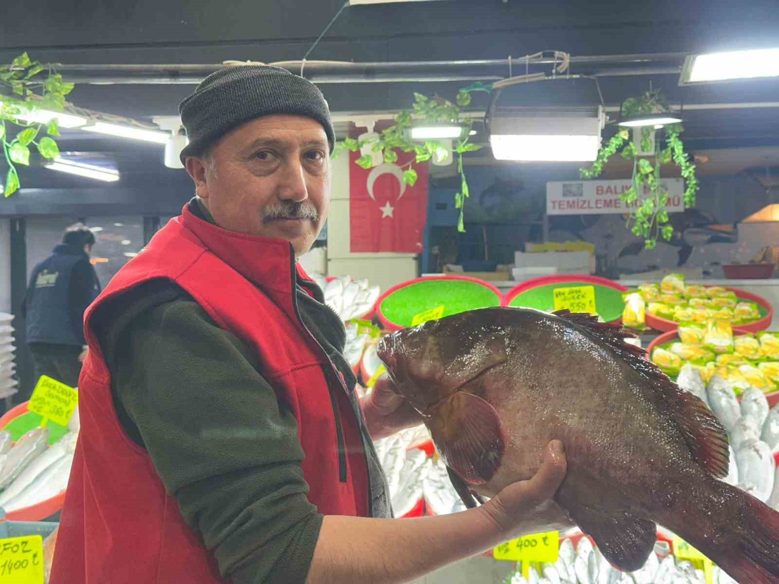 Sivas’ta 7.5 kiloluk orfoz balığı tezgahın ağası oldu
