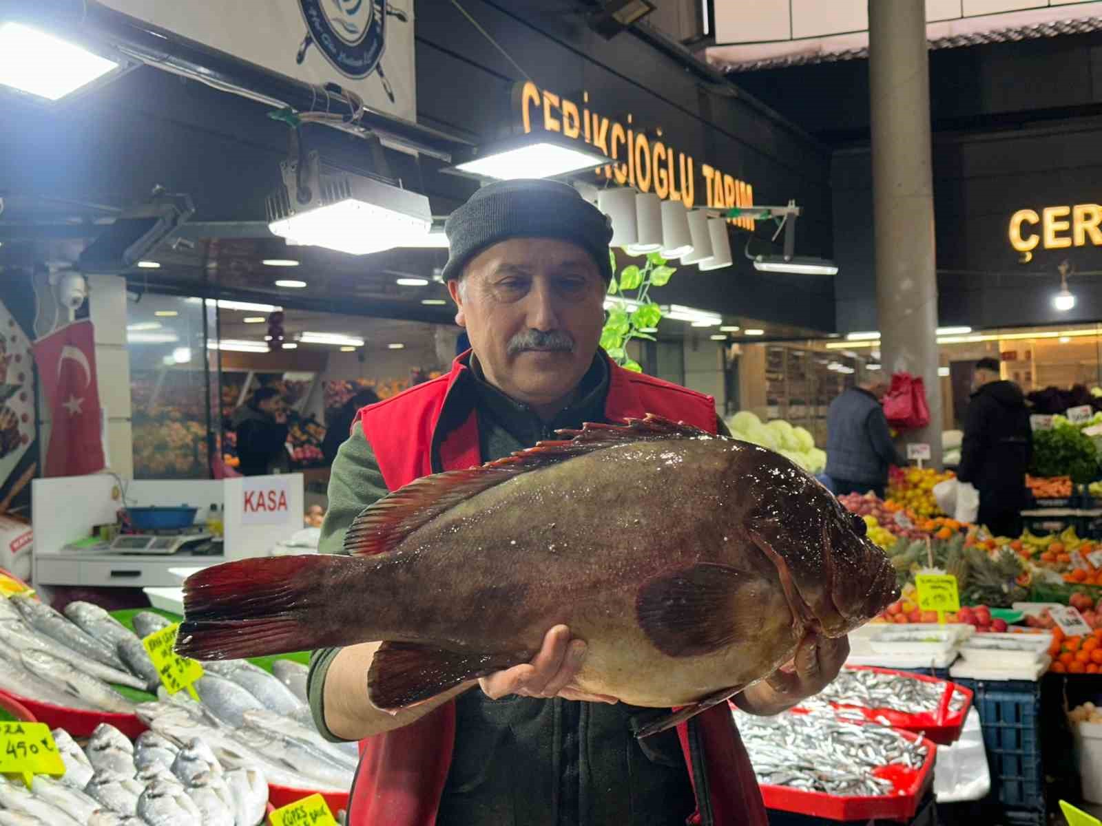 Sivas’ta 7.5 kiloluk orfoz balığı tezgahın ağası oldu
