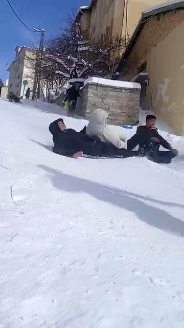 Sivas’ta kar ve dondurucu soğuk renkli görüntüler oluşturdu
