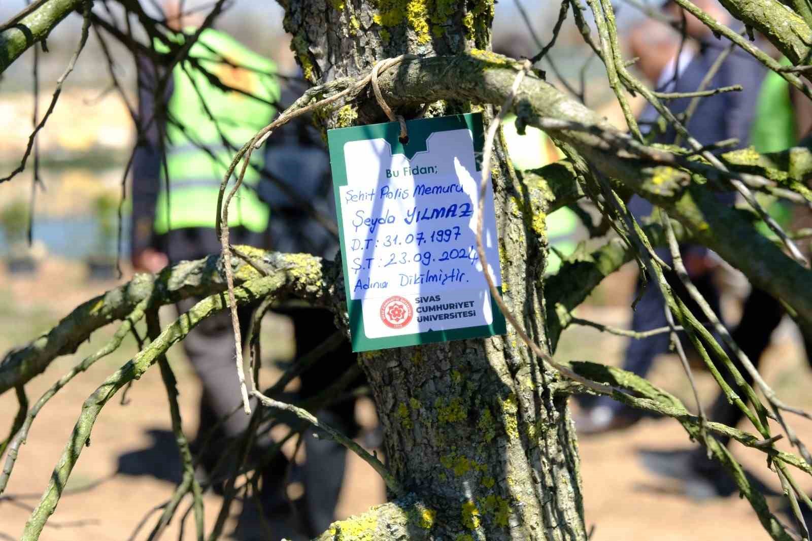 Sivas’ta şehitlerin adı fidanlarda yaşatılacak
