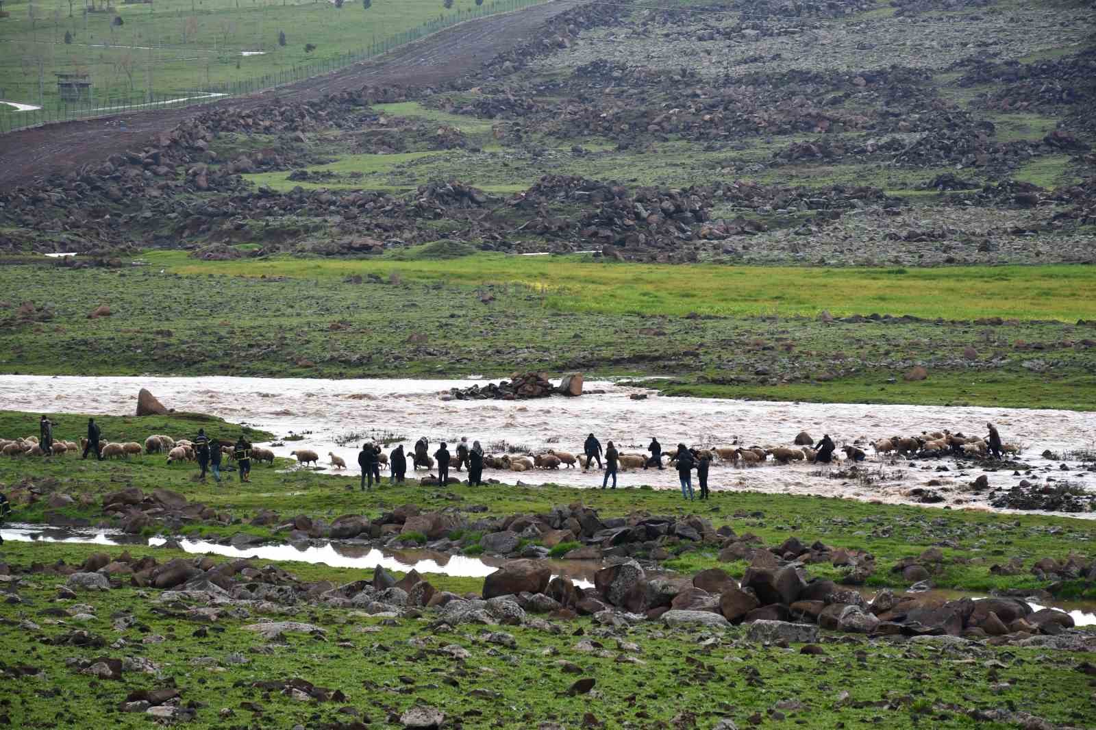 Siverek’te sağanak sonrası derede mahsur kalan çoban ve koyun sürüsü kurtarıldı
