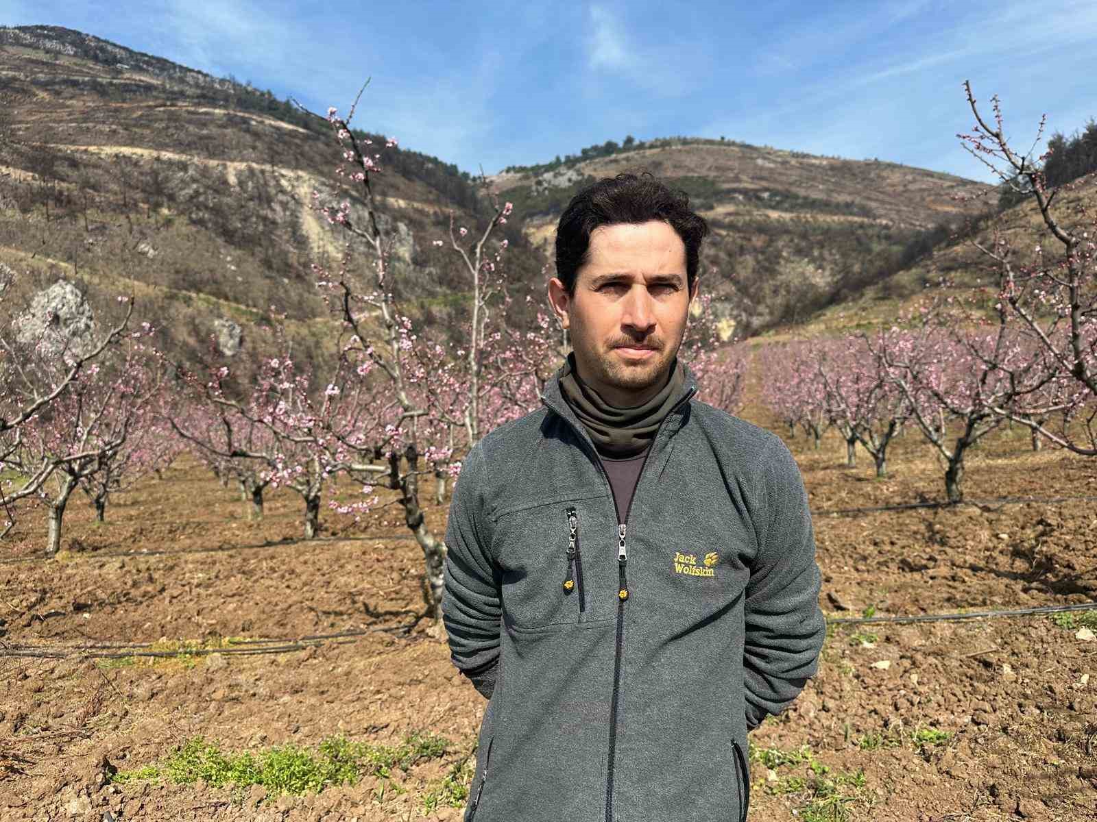 Siyahların ardında açan pembe şeftali çiçekleri
