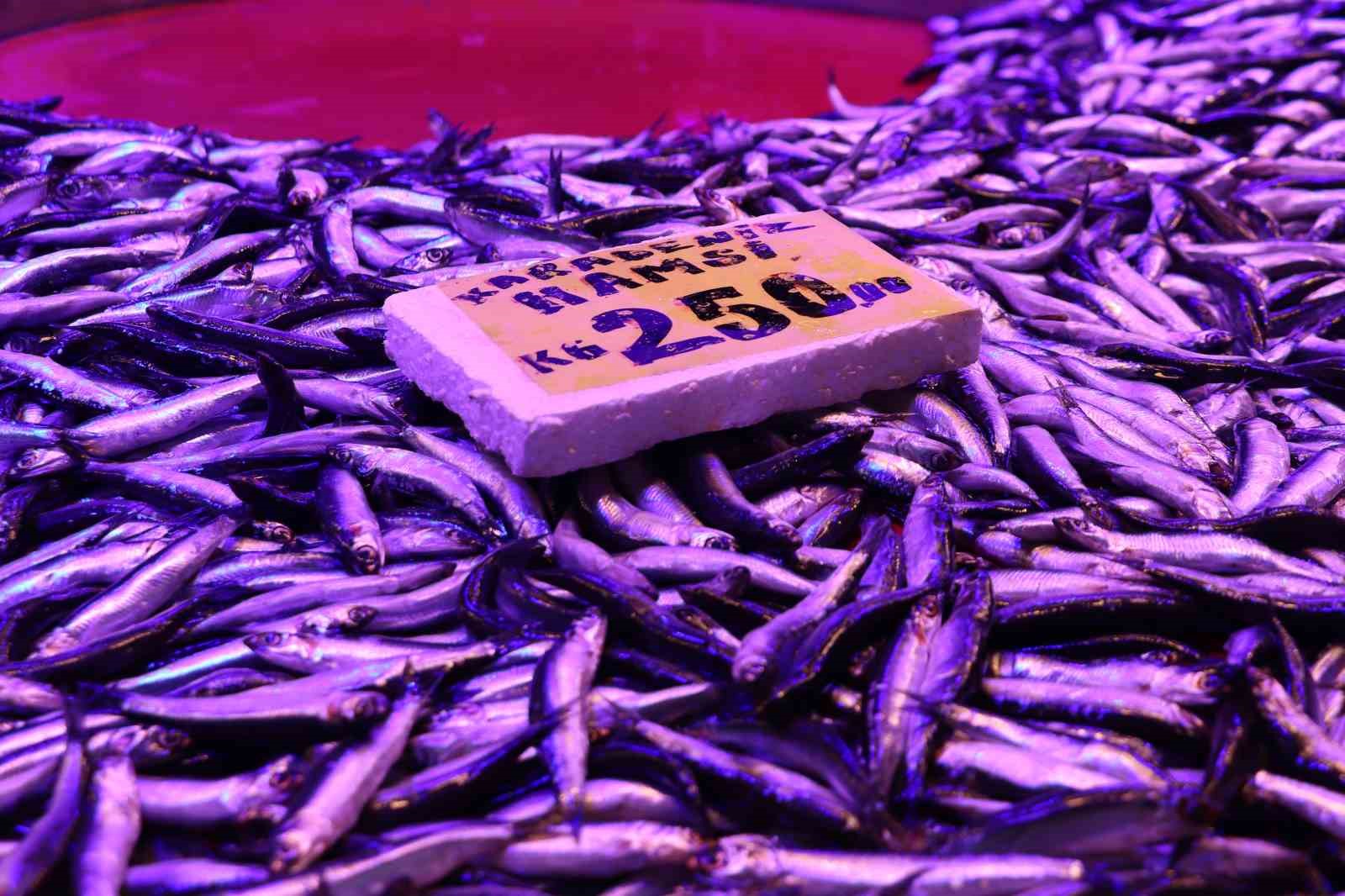 Soğuk havalar, balık tezgahlarını da vurdu
