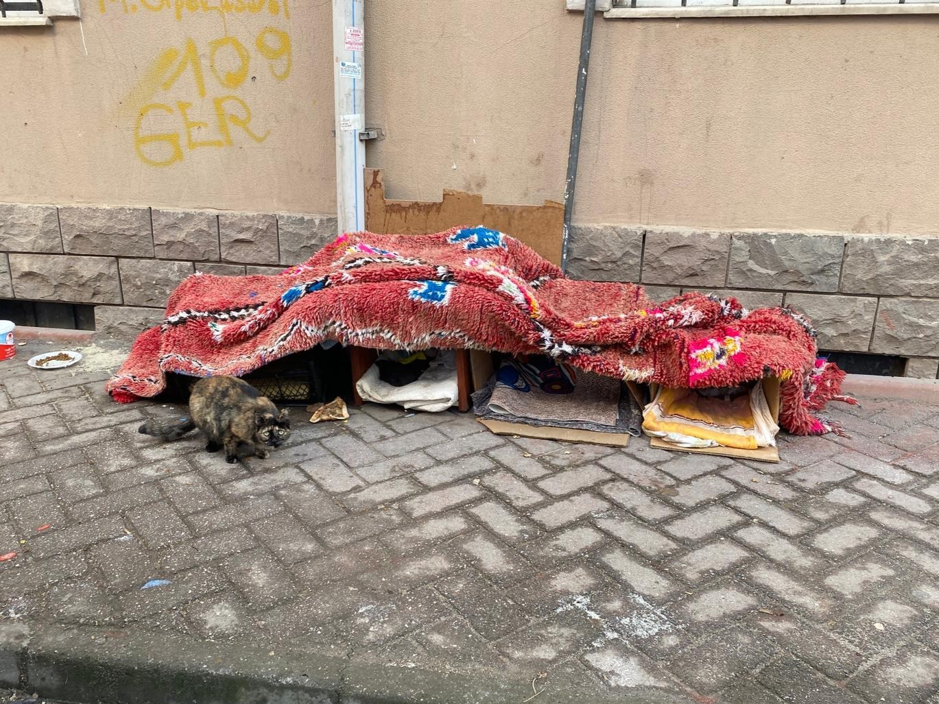 Soğuk kış şartlarında hayvanlar için korunaklı kulübeler yaptılar
