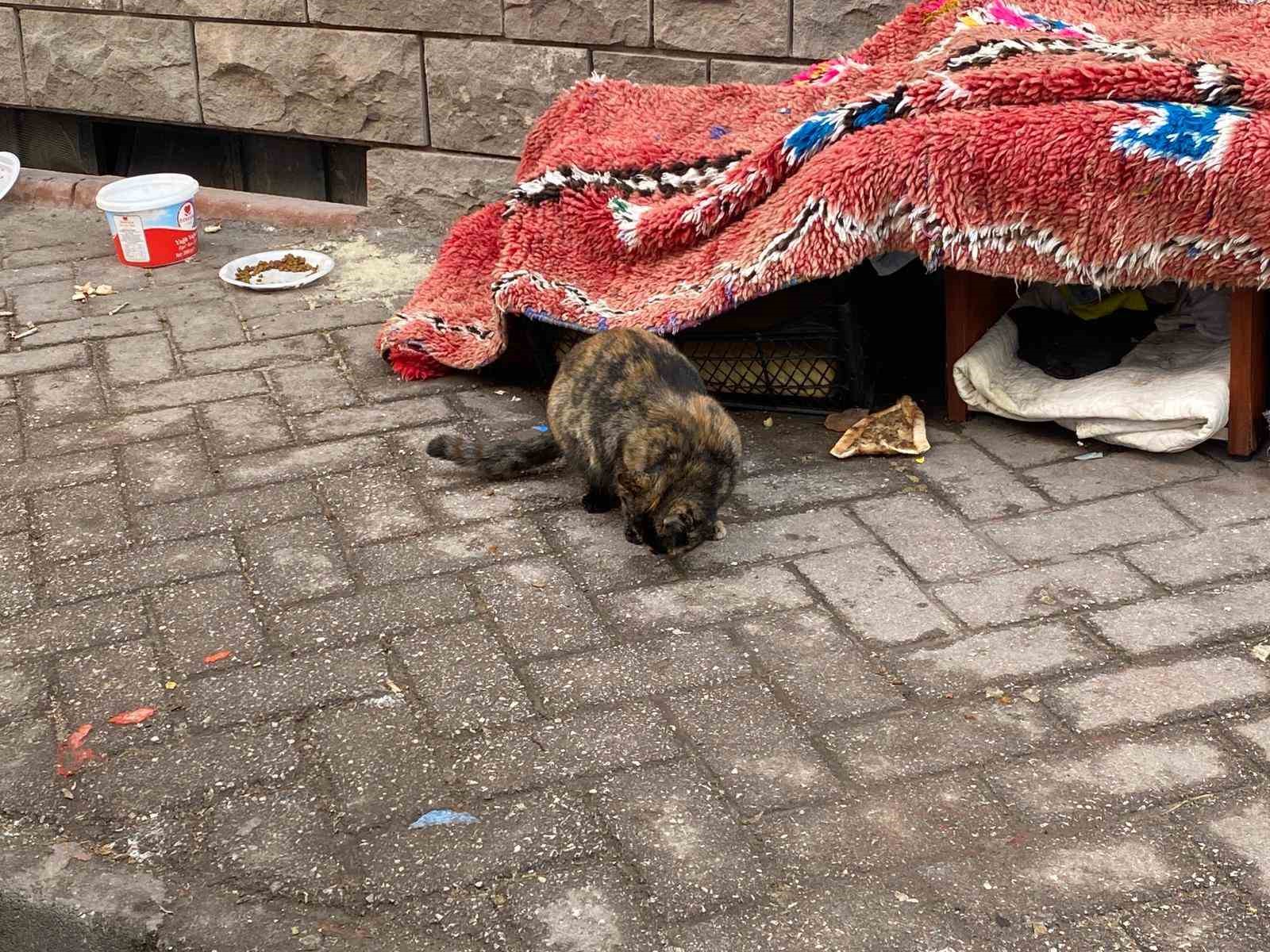 Soğuk kış şartlarında hayvanlar için korunaklı kulübeler yaptılar
