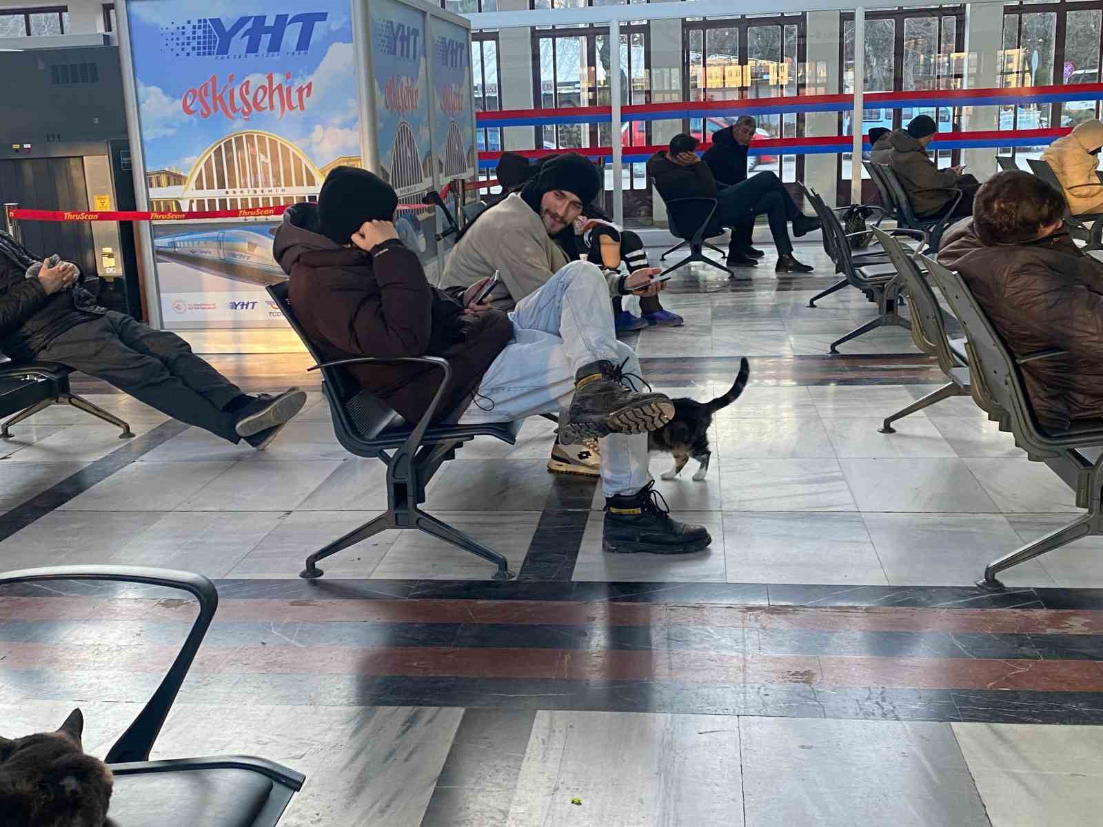Soğuktan üşüyen sokak kedileri tren garına ısındı
