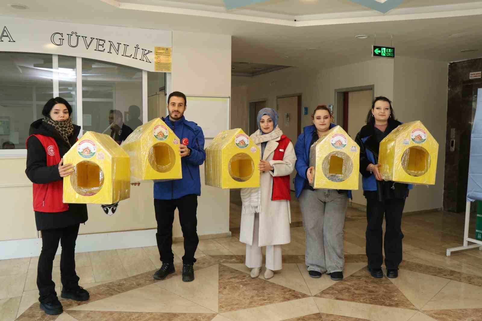 Sokak kedileri unutulmadı
