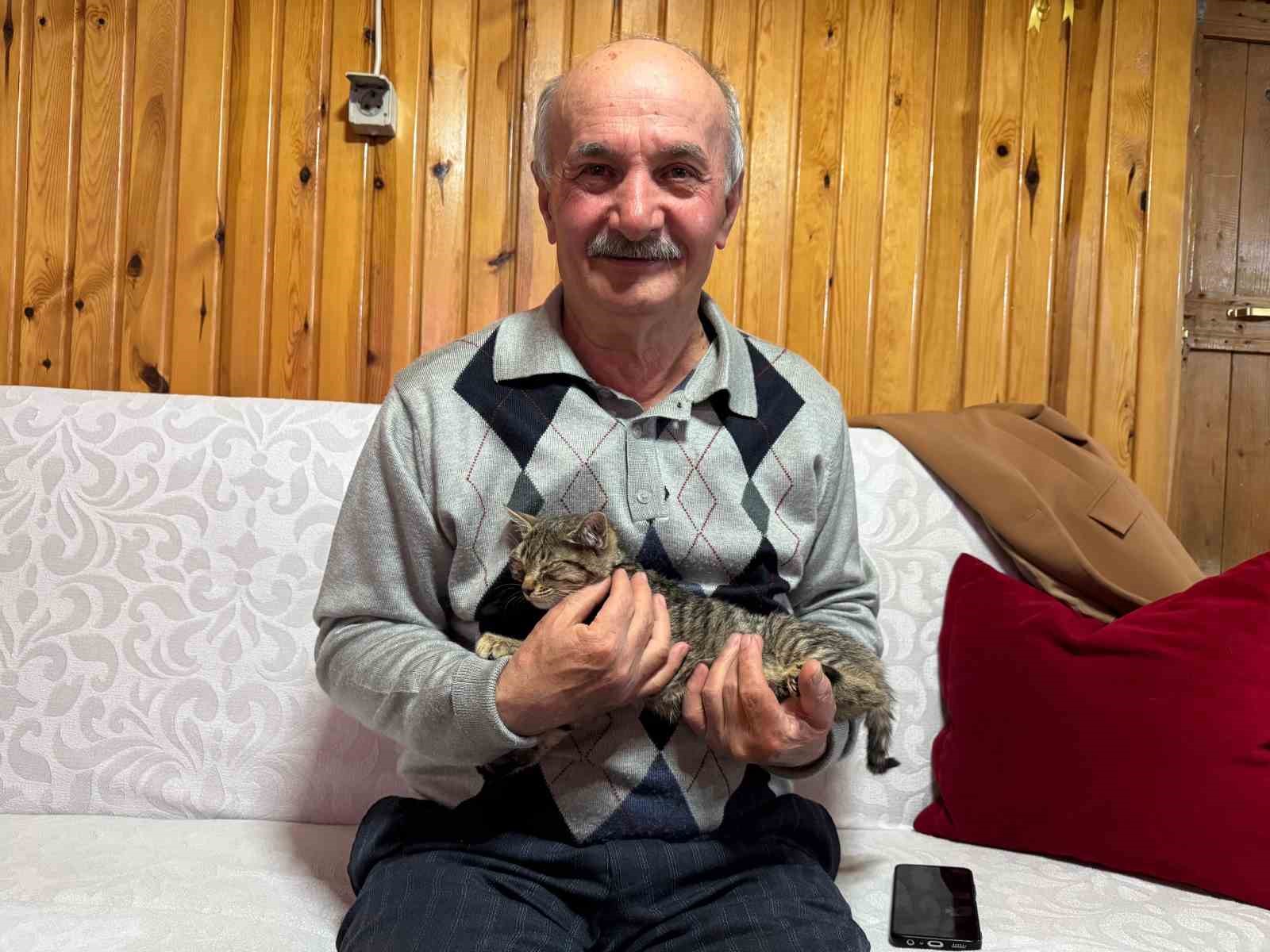 Sokak kedilerine evinin kapısını açtı, onlara yuva oldu
