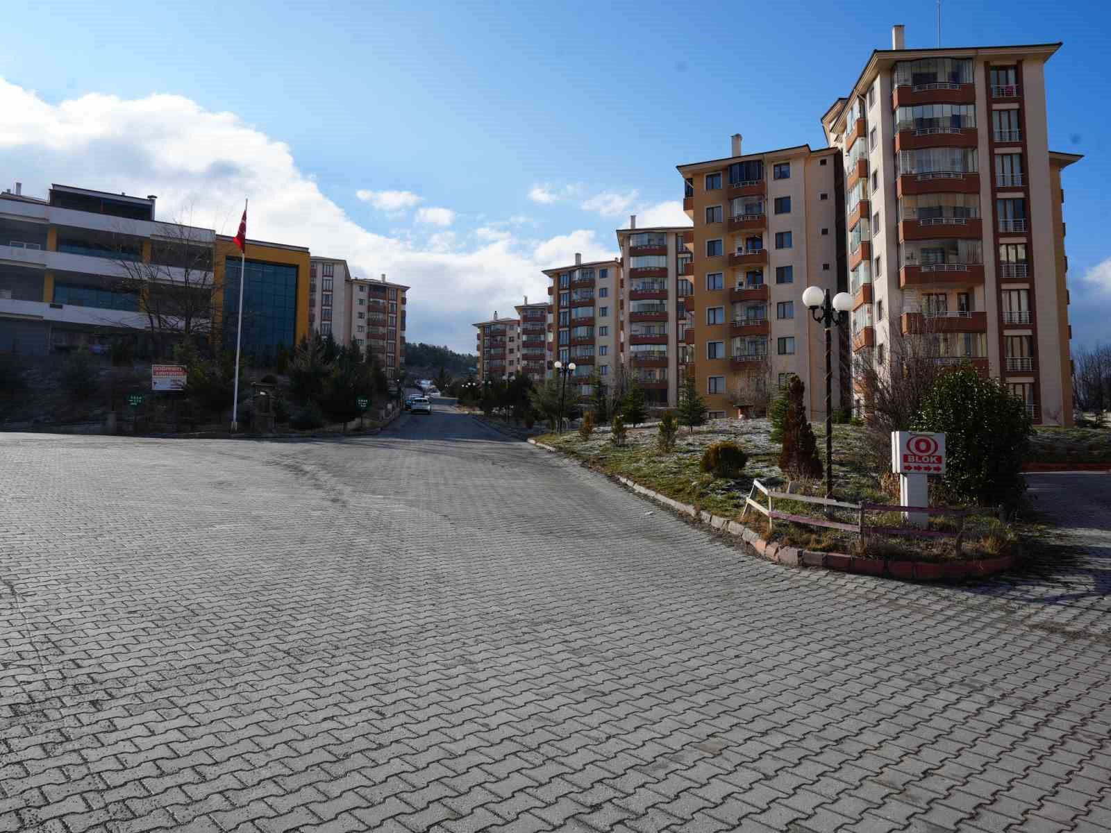 Sokak köpeklerinin saldırısına uğrayan kadını vatandaşlar kurtardı: O anlar kamerada
