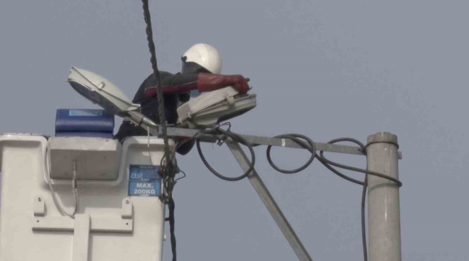 Sokak lambaları kuşlara yuva oldu
Sokak lambaları kuşlara yuva oldu