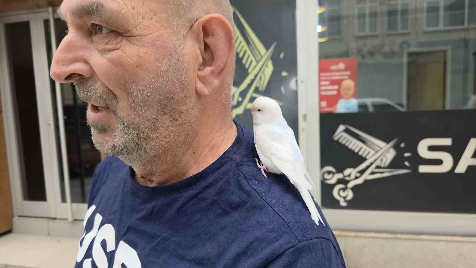 Sokaklarda omzundaki kuşuyla geziyor
Sokaklarda omzundaki kuşuyla geziyor