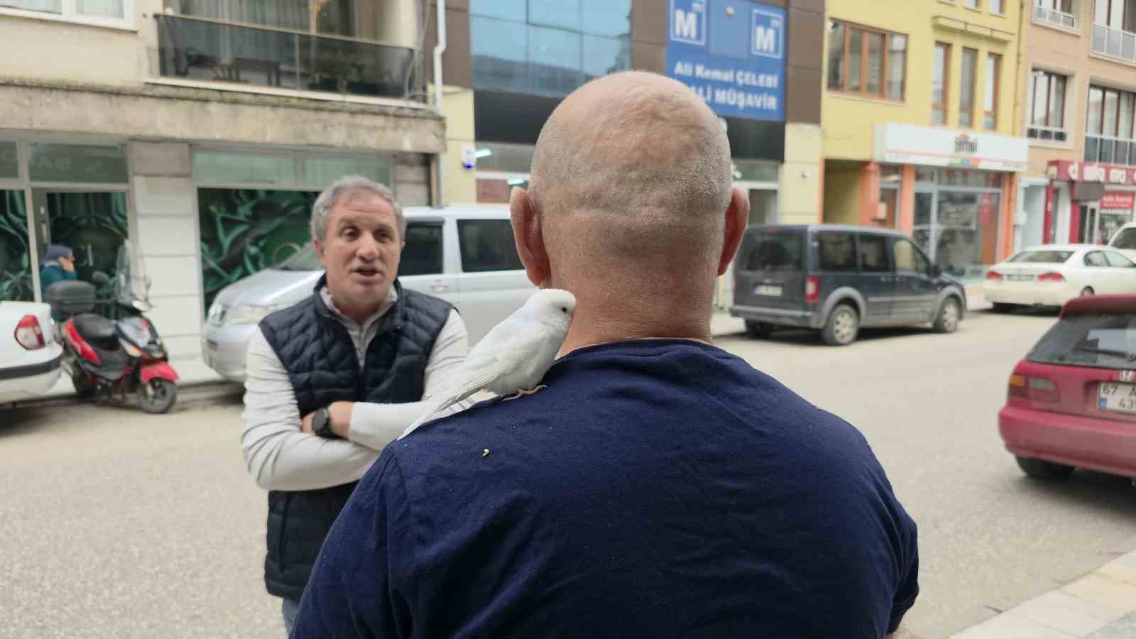 Sokaklarda omzundaki kuşuyla geziyor
Sokaklarda omzundaki kuşuyla geziyor