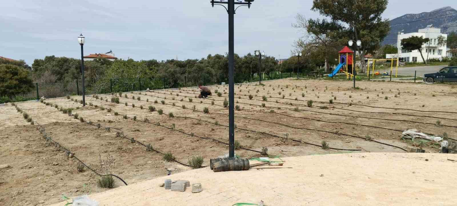 Söke Belediyesi, ilçe genelinde çalışmalarını sürdürüyor
Söke Belediyesi, ilçe genelinde çalışmalarını sürdürüyor