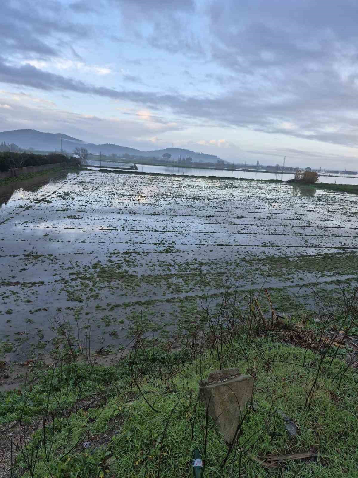 Söke’de aşırı yağışlar sonrası tarım alanlarında hasar tespiti
