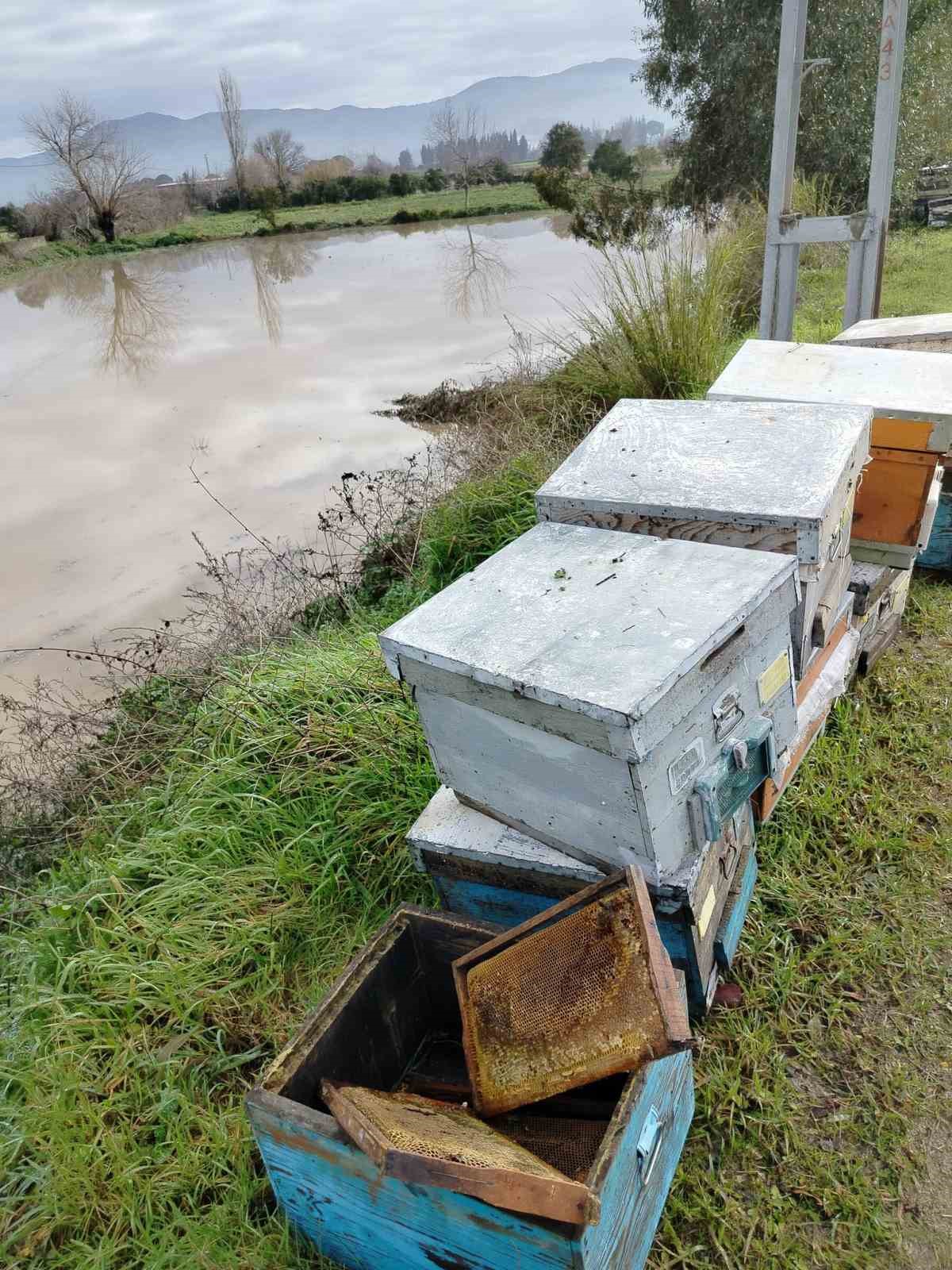 Söke’de aşırı yağışlar sonrası tarım alanlarında hasar tespiti

