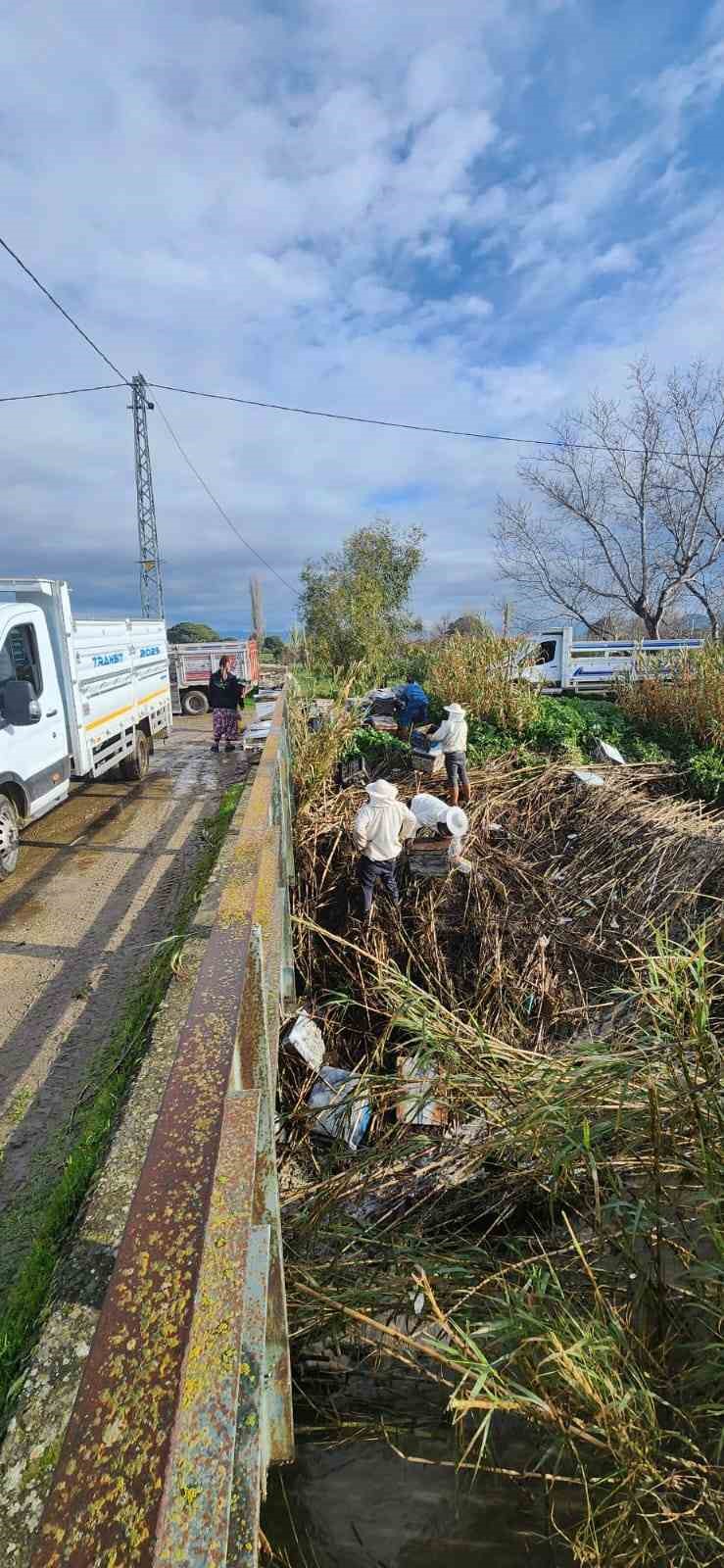 Söke’de aşırı yağışlar sonrası tarım alanlarında hasar tespiti
