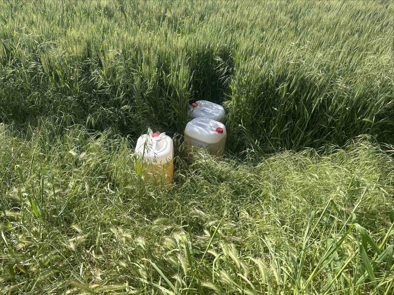 Söke’de göçmen kaçakçılığı operasyonu: 6 tutuklama
