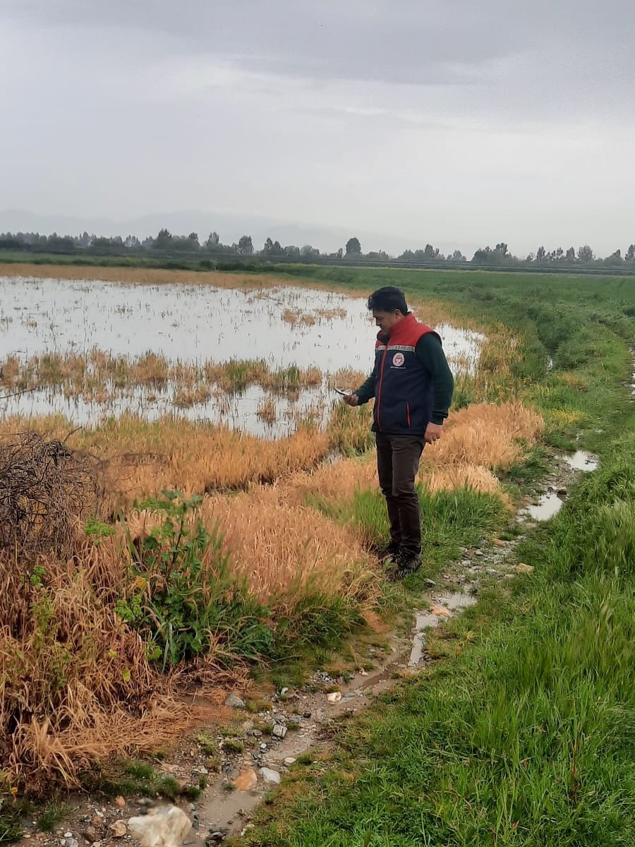 Söke’de sel sonrası tarım arazilerinde hasar tespiti sürüyor
