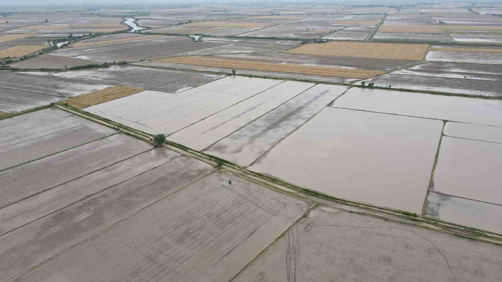 Söke’nin 2026 yılı ürün deseni belli oldu
