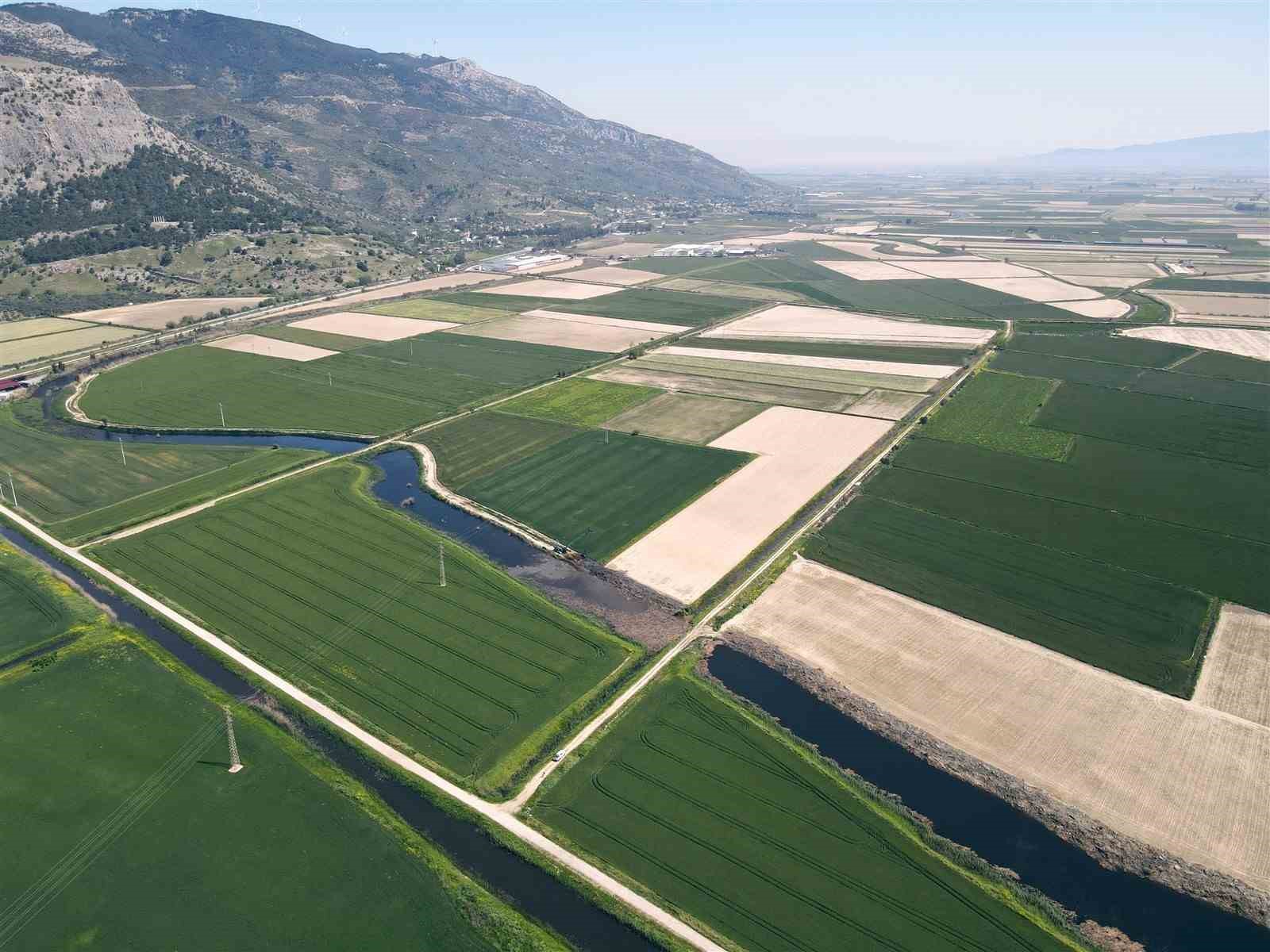 Söke’nin 2026 yılı ürün deseni belli oldu
