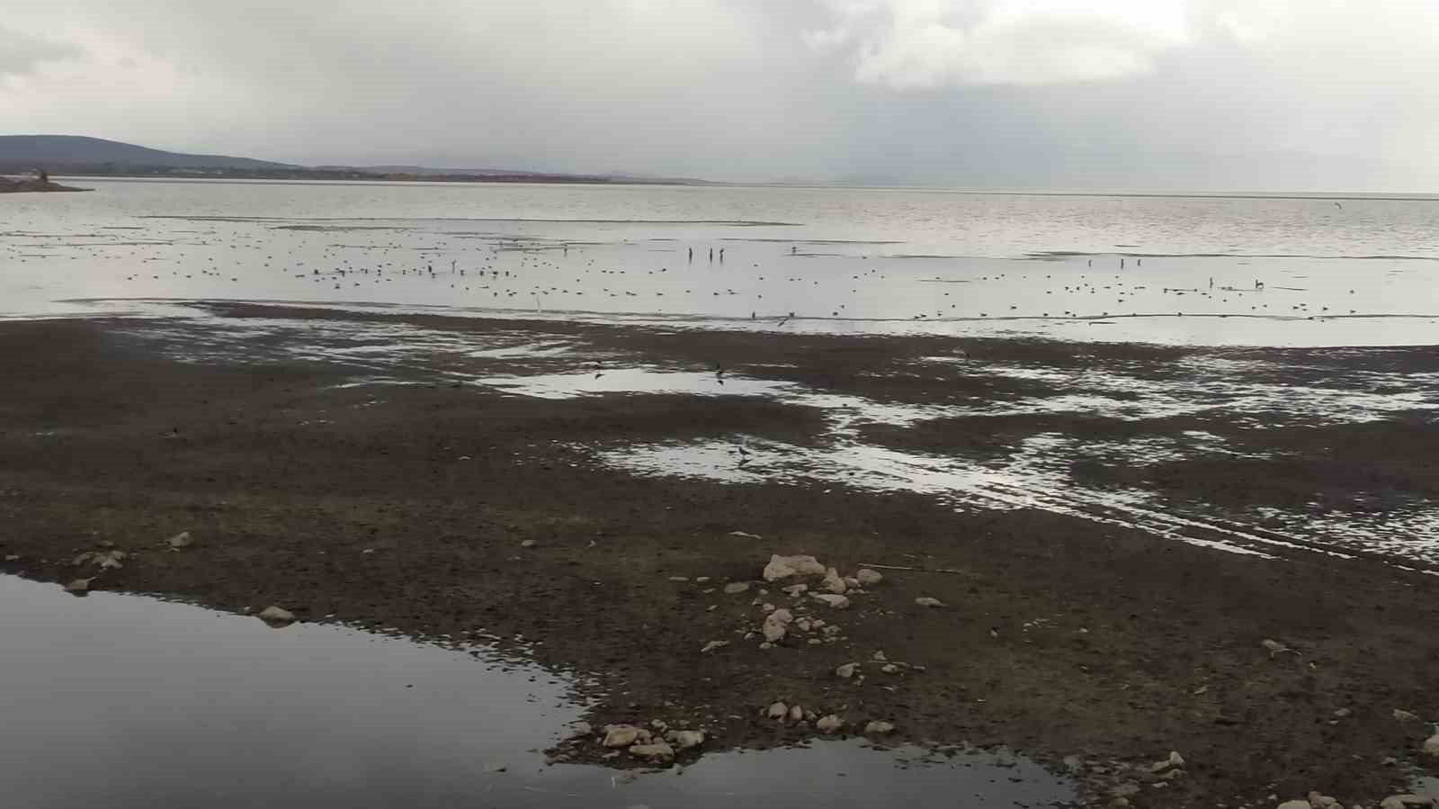 Son yağışlar Beyşehir Gölüne umut oldu
