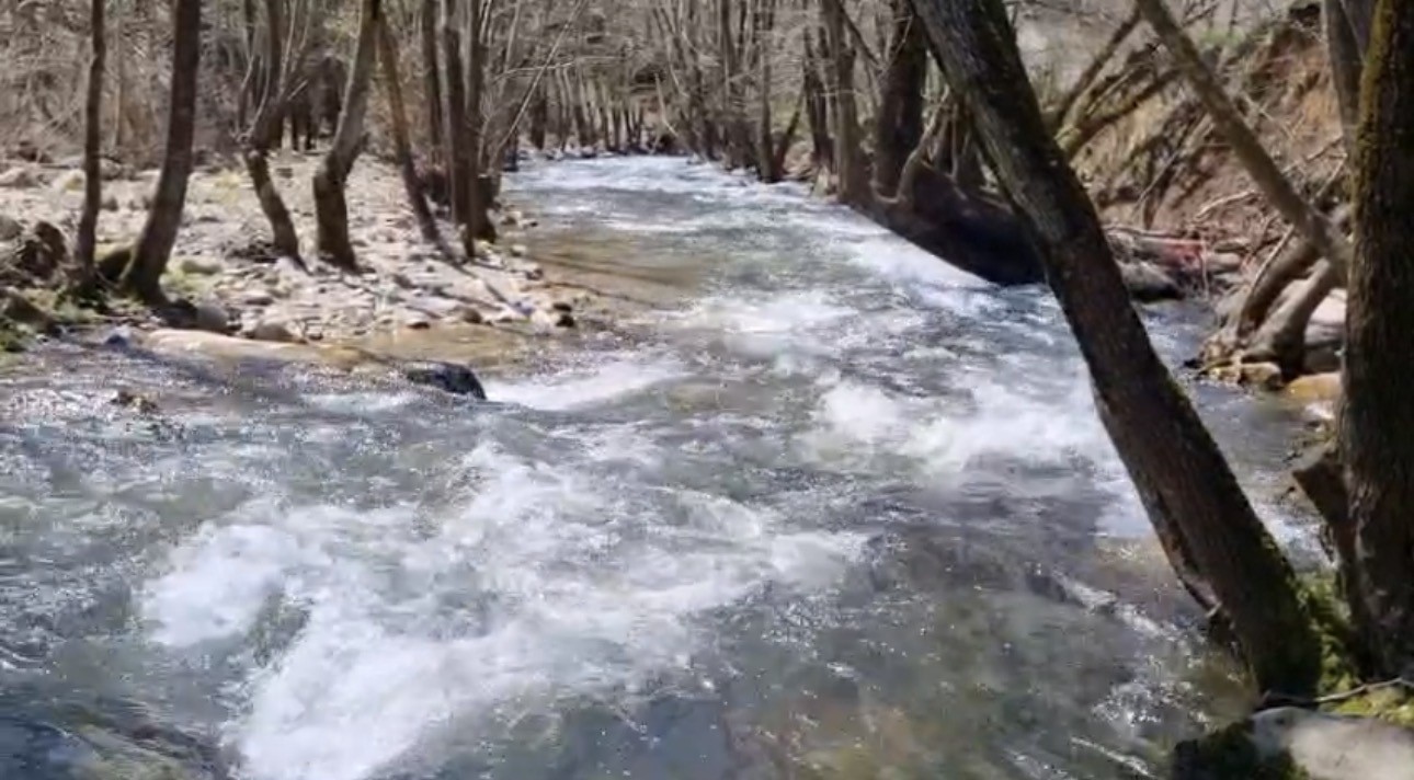 Son yağışlar Nilüfer Barajı’nı doldurdu, dereler coştu
