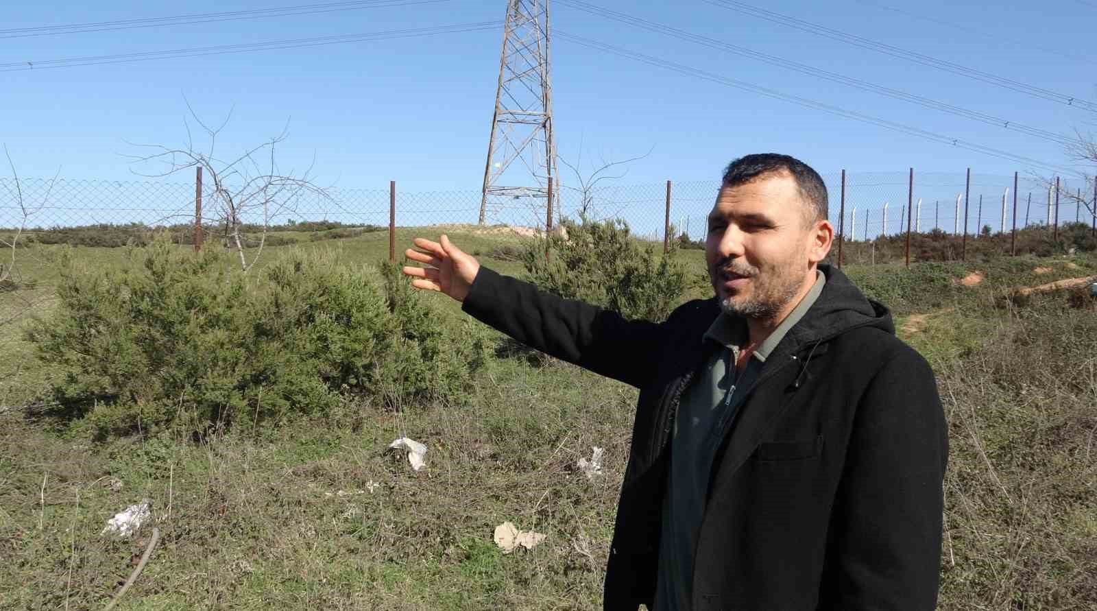 Sosyal medyada paylaşıldı, Tuzla’daki geyikler ilgi odağı oldu
