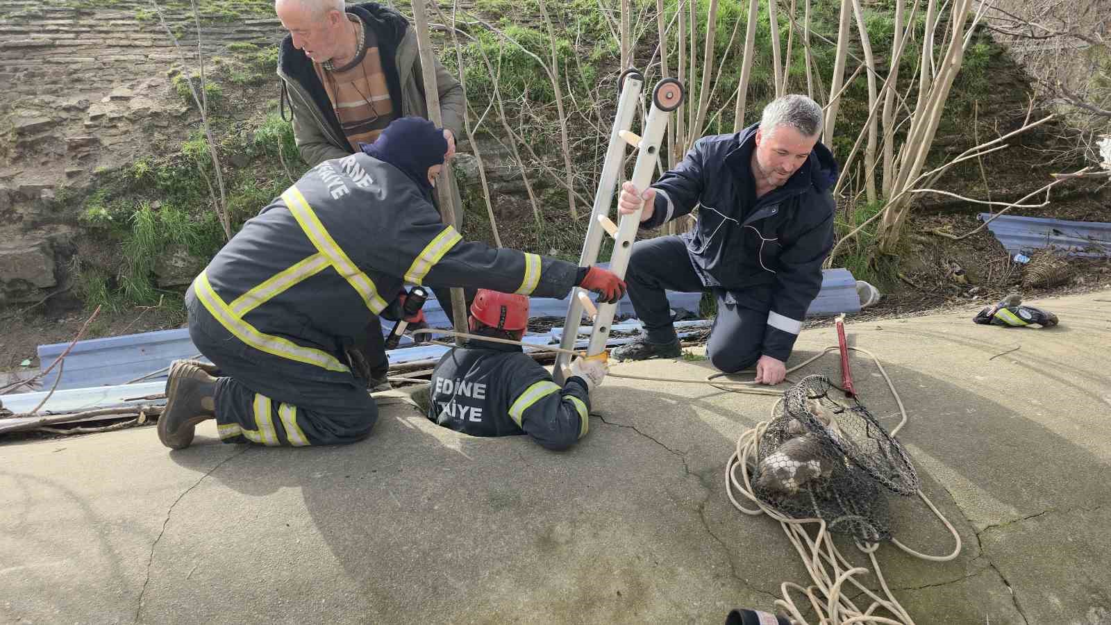 Su deposuna düşen yavru köpek 6 saat sonra kurtarıldı
