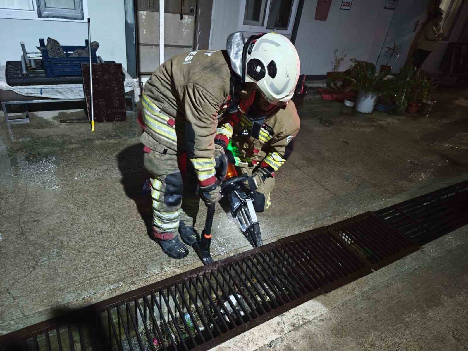 Su giderine yavrulayan anne kedi ve yavrularını itfaiye kurtardı
