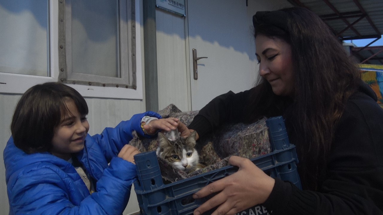 Su kanalında doğum yapan kedi ve 3 yavrusunun yeni yuvası depremzede ailenin konteyneri oldu
