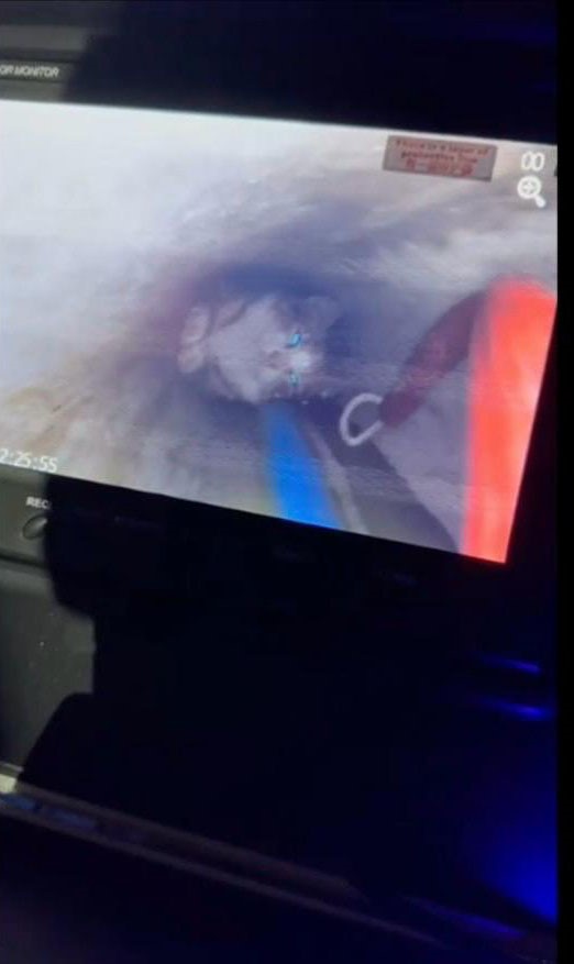 Su pompası deliğine düşen yavru kediyi itfaiye kurtardı
