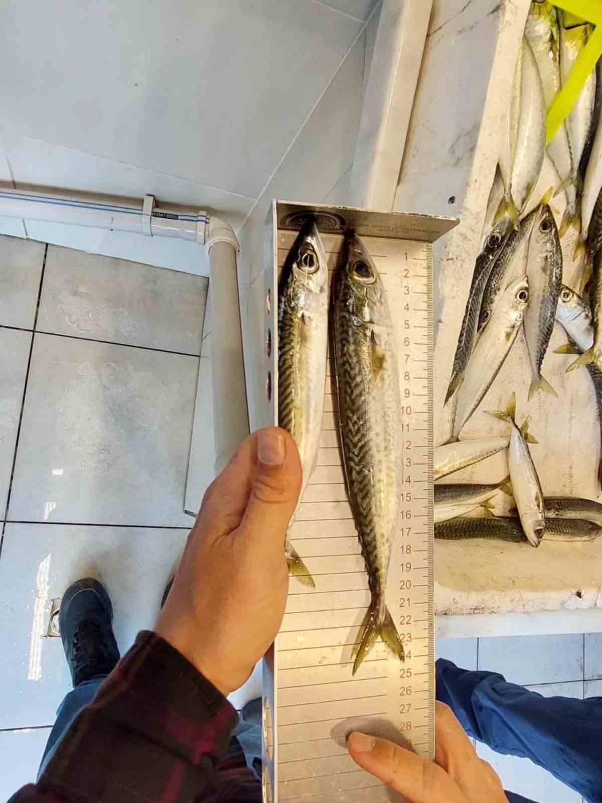 Su ürünleri denetimi gerçekleştirildi
