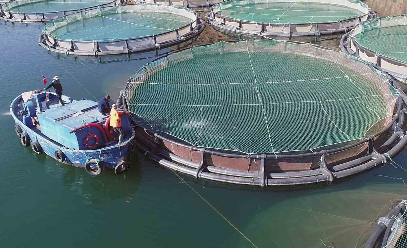 Şubat ayında Muğla ihracatta İstikrarını korudu, Ege Bölgesi geriledi
