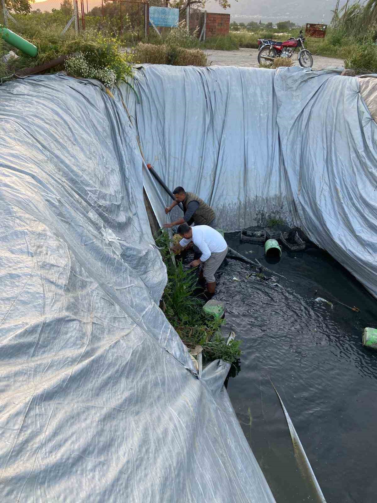 Sulama havuzuna düşen 5 yavru köpeği belediye ekipleri kurtardı
