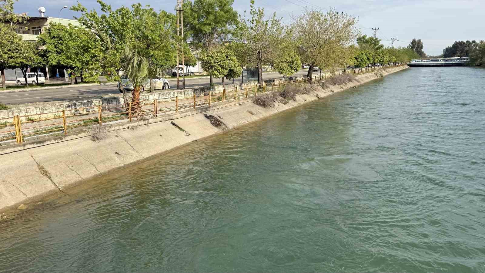 Sulama kanalına düşen çocuğu kurtarmak için zamanla yarıştılar
Sulama kanalına düşen çocuğu kurtarmak için zamanla yarıştılar