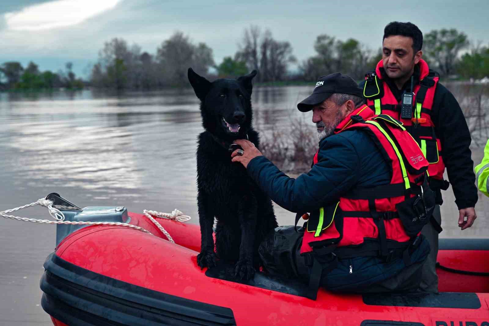 Sular altında kalan bağ evinde mahsur kalan iki köpeği belediye ekipleri kurtardı
