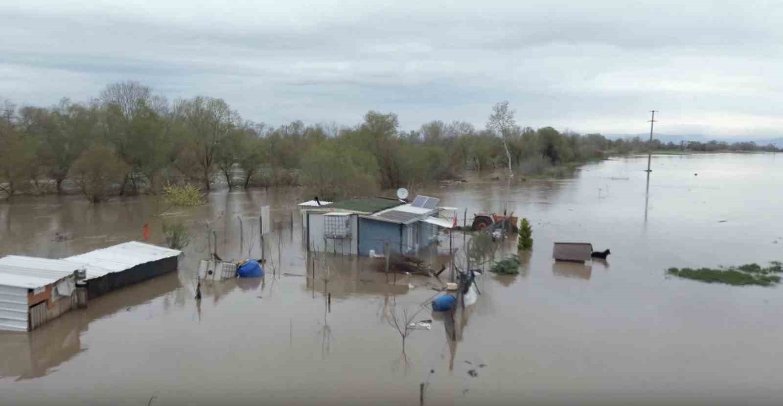 Sular altında kalan bağ evinde mahsur kalan iki köpeği belediye ekipleri kurtardı
